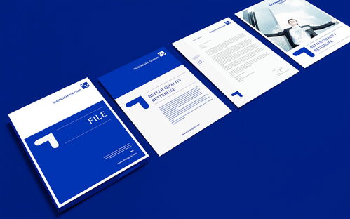 盛世金控集团品牌形象设计与企业形象策划服务方案